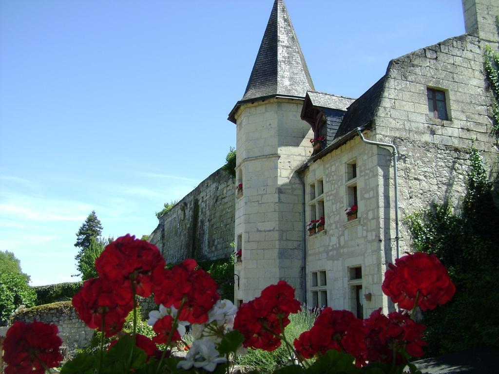 Le Petit Hureau Saumur Zewnętrze zdjęcie
