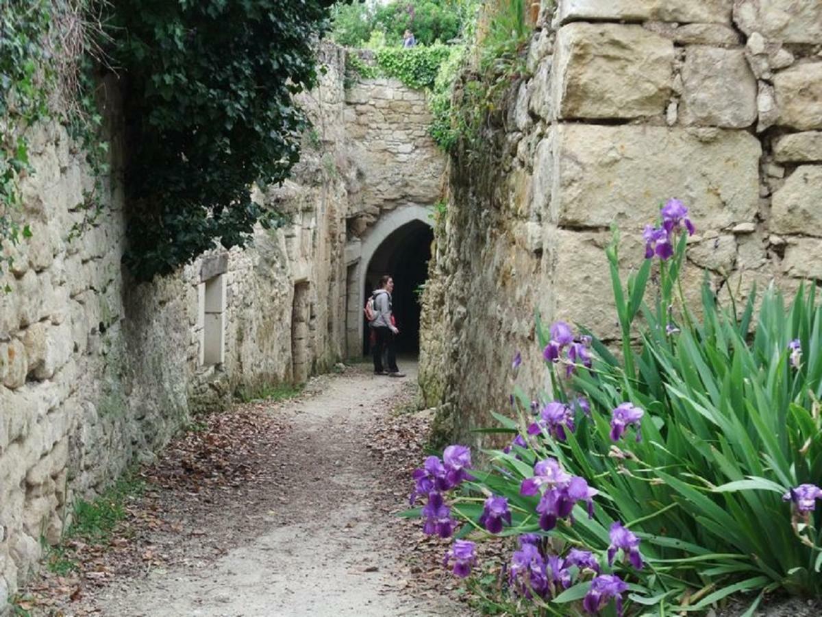 Le Petit Hureau Saumur Zewnętrze zdjęcie